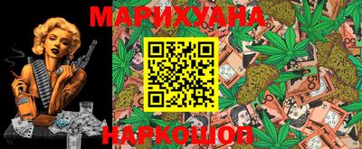 сатива Нальчик