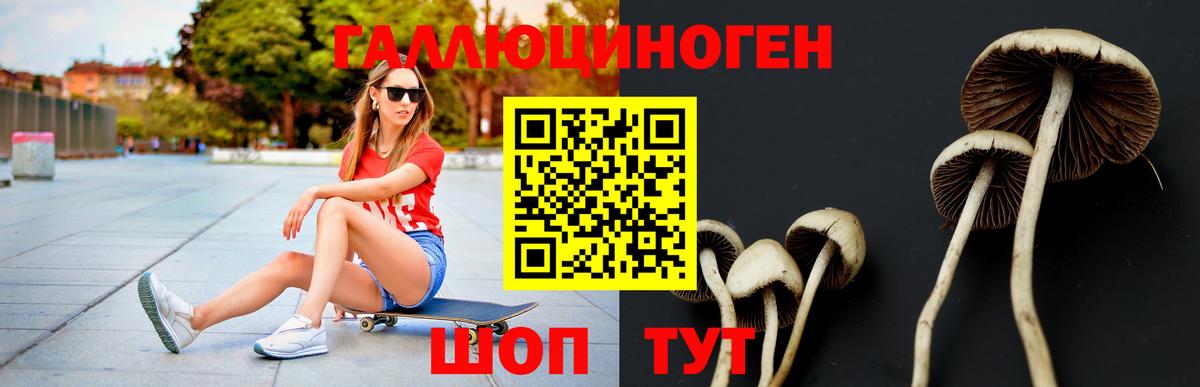 Псилоцибиновые грибы мицелий Ступино